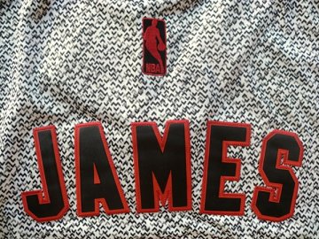 Camiseta James #23 Cavaliers 2013 Moda Estatica Gris